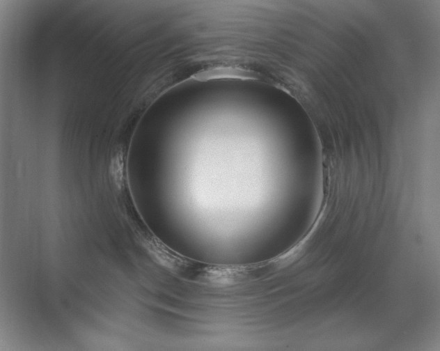 X0000073870190200608101519