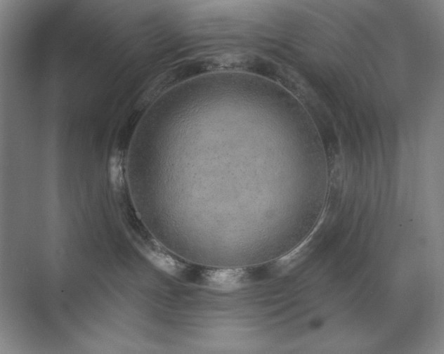 X0000073870191200608101519