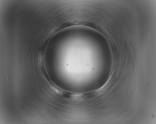 X0000073870192200608101519