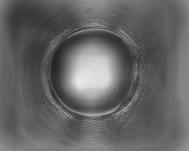 X0000073870193200608101518