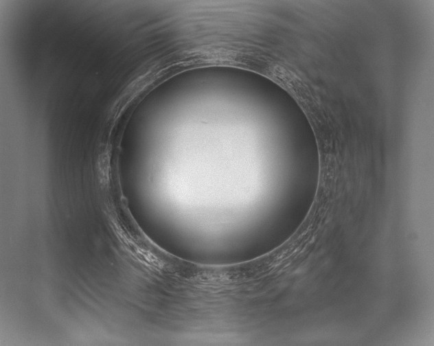 X0000073870194200608101518