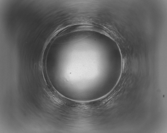 X0000073870195200608101518