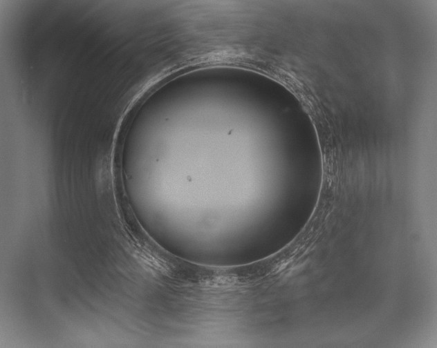 X0000073870196200608101518