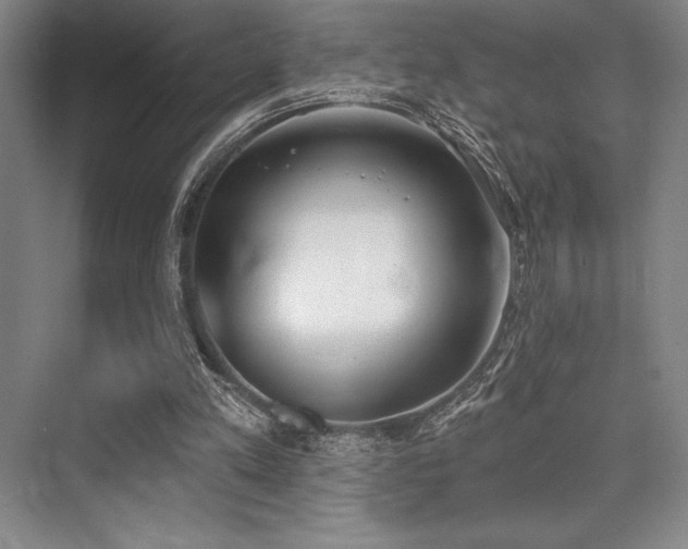 X0000073870197200608101518