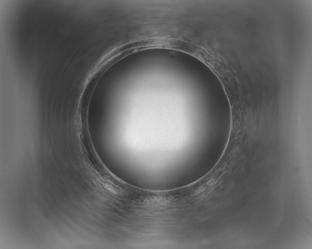 X0000073870198200608101518