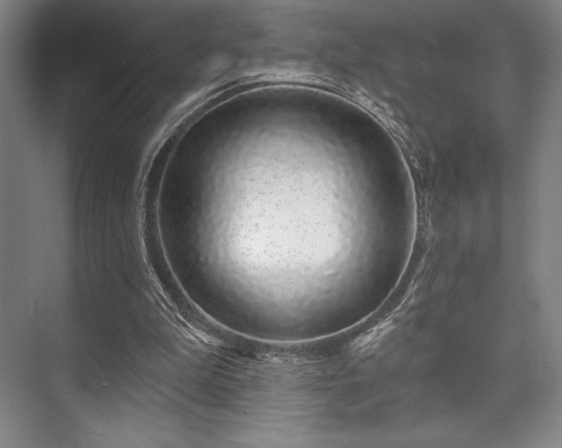 X0000073870199200608101518