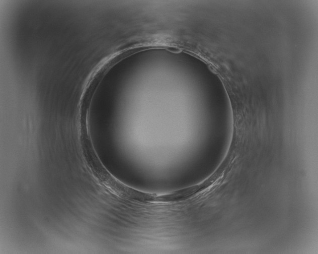 X0000073870200200608101518