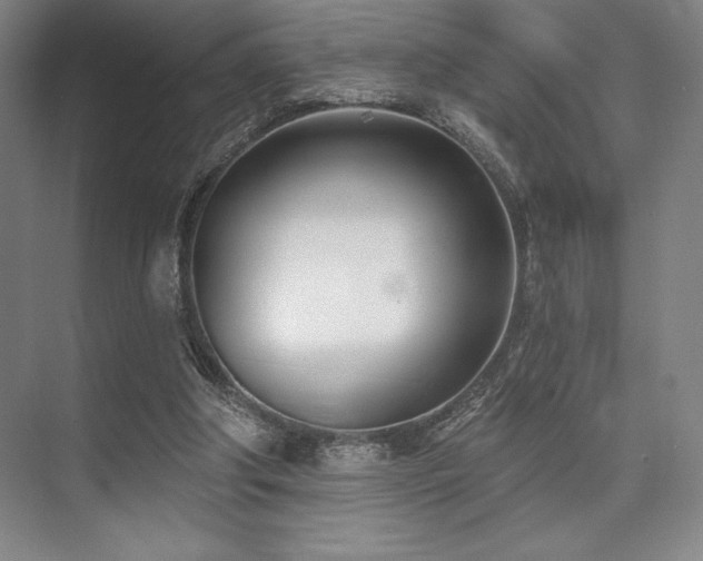 X0000073870202200608101518