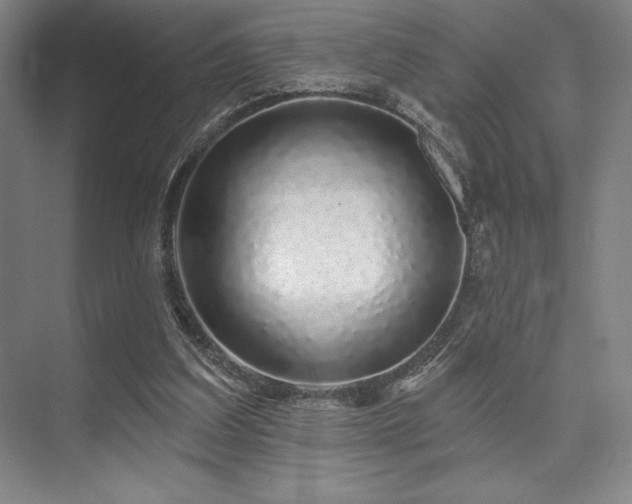 X0000073870203200608101518