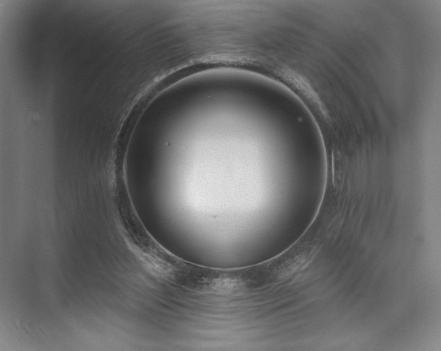 X0000073870204200608101518