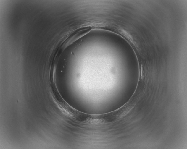 X0000073870205200608101518