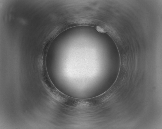 X0000073870206200608101518