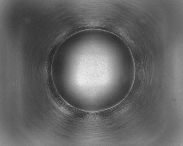 X0000073870207200608101518