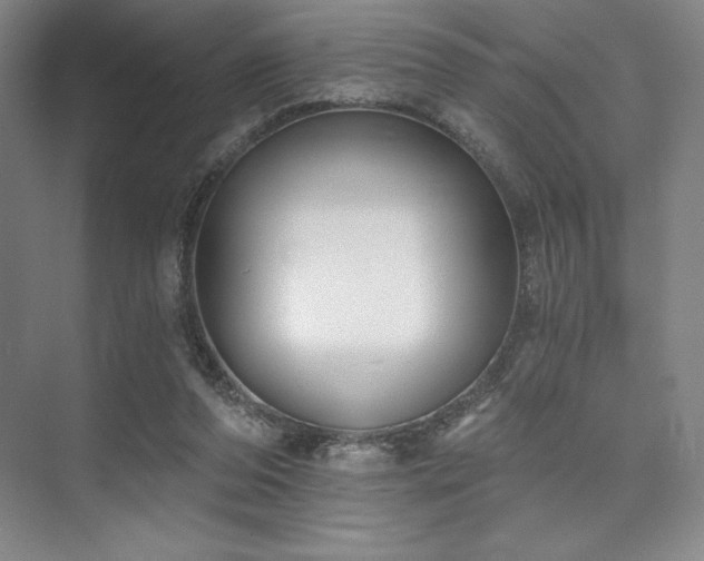 X0000073870208200608101518