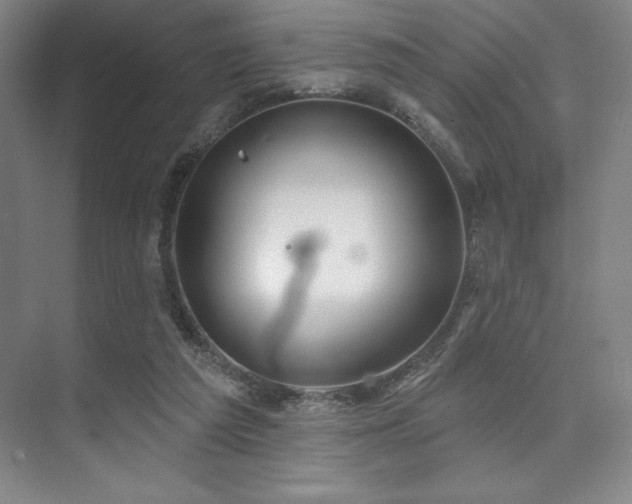 X0000073870209200608101518