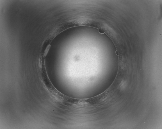 X0000073870210200608101518