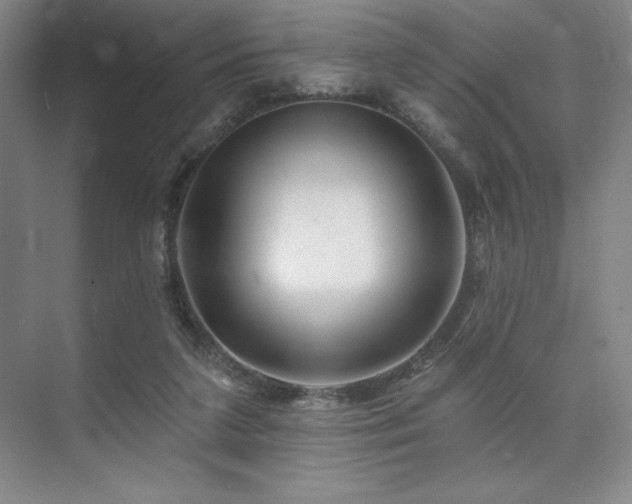 X0000073870211200608101518