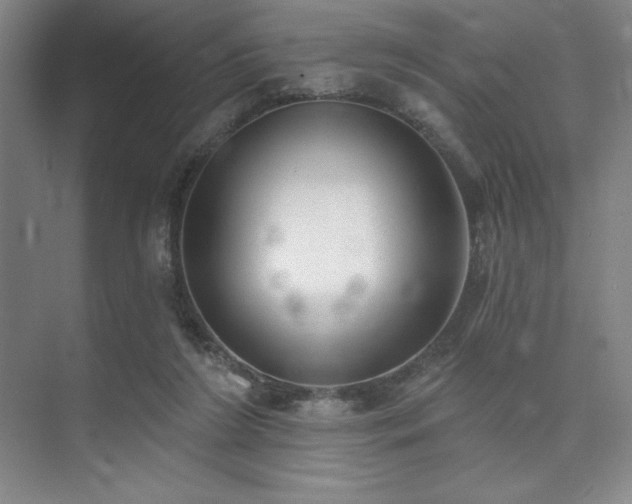 X0000073870212200608101518