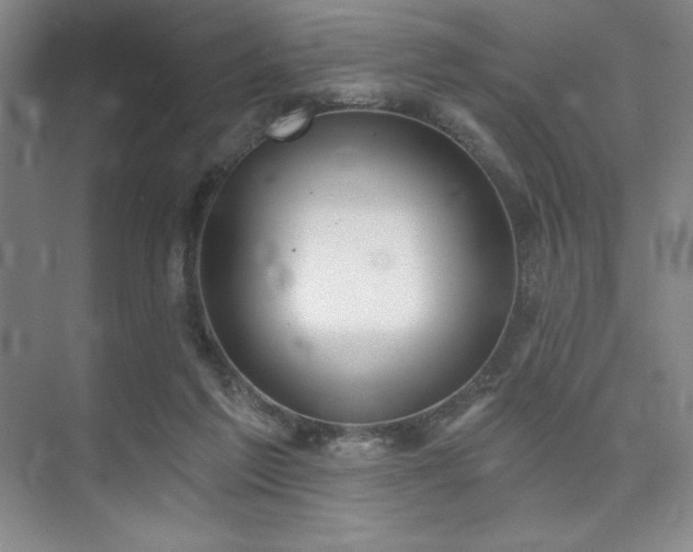 X0000073870213200608101518