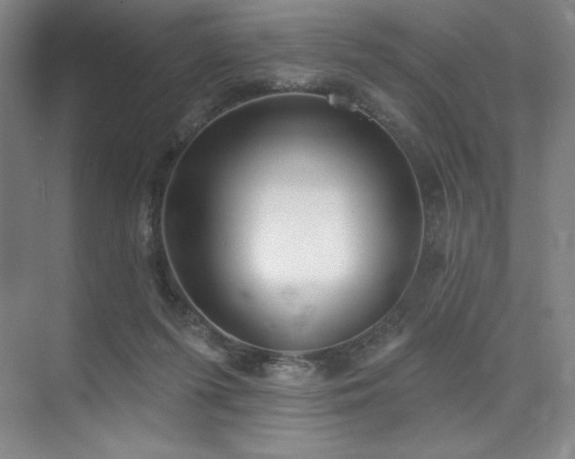 X0000073870215200608101518