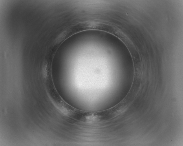 X0000073870216200608101518