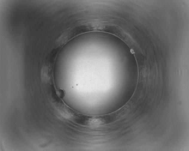 X0000073870218200608101518