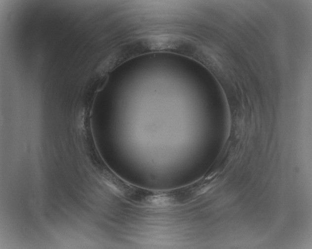 X0000073870219200608101518