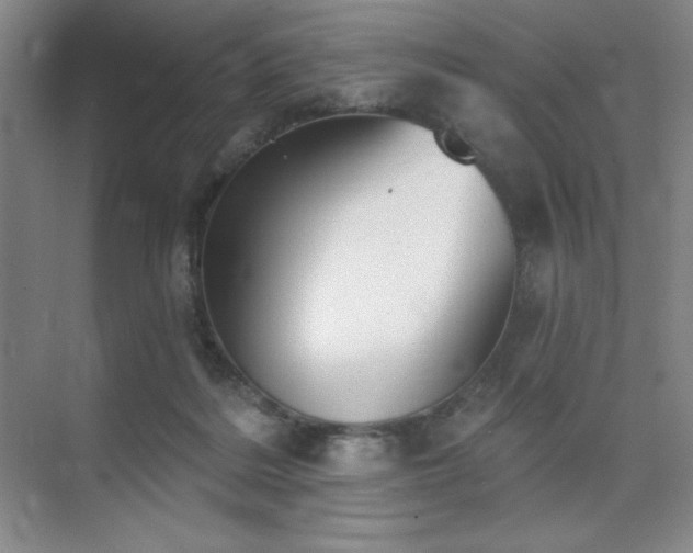 X0000073870220200608101518