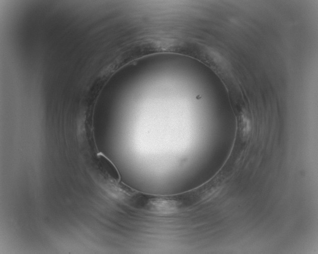 X0000073870221200608101518