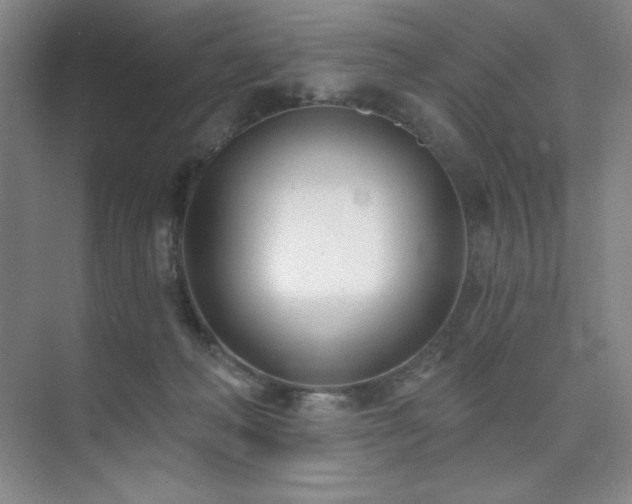 X0000073870222200608101518