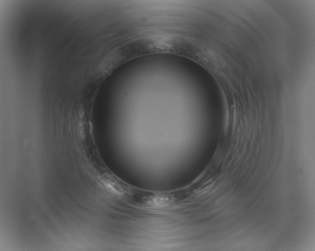 X0000073870223200608101518