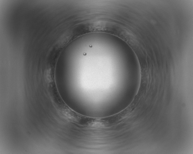 X0000073870224200608101518