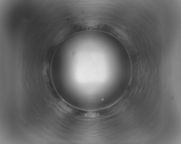 X0000073870225200608101518