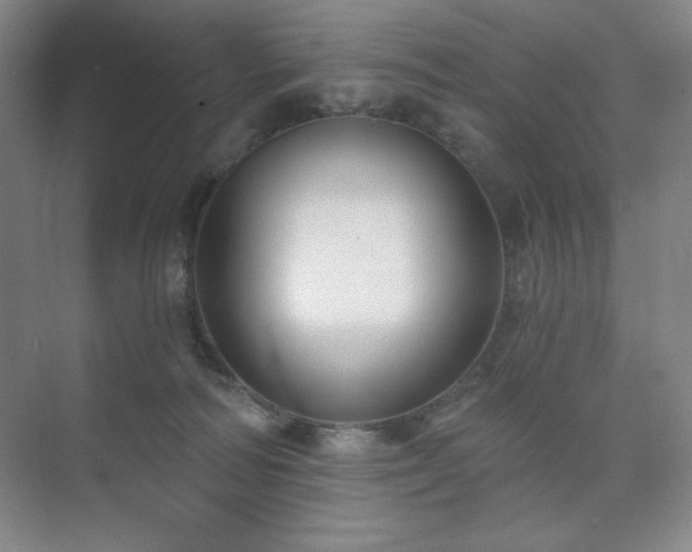 X0000073870226200608101518