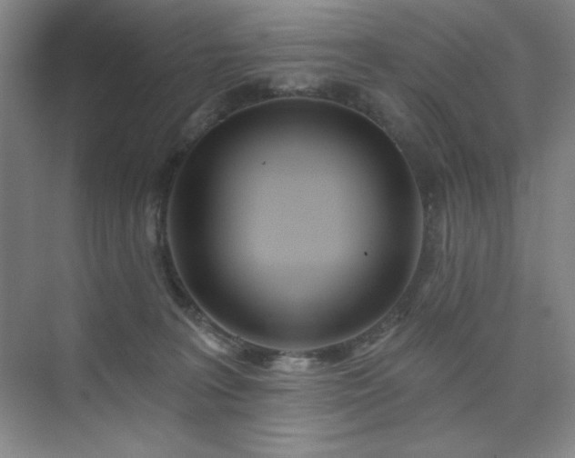 X0000073870227200608101518