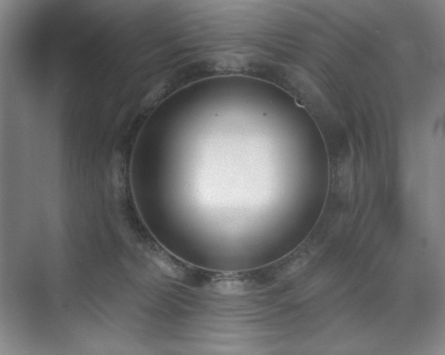 X0000073870228200608101518