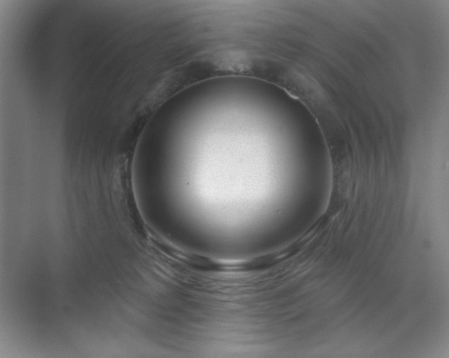 X0000073870229200608101518