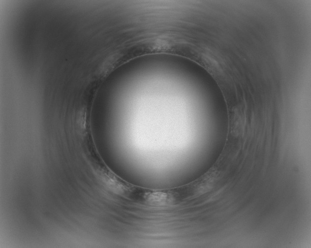 X0000073870230200608101518