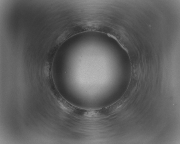 X0000073870231200608101518