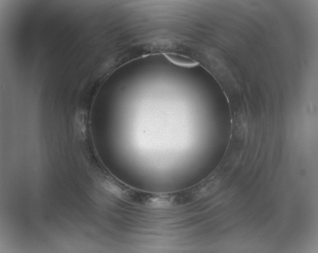 X0000073870232200608101518