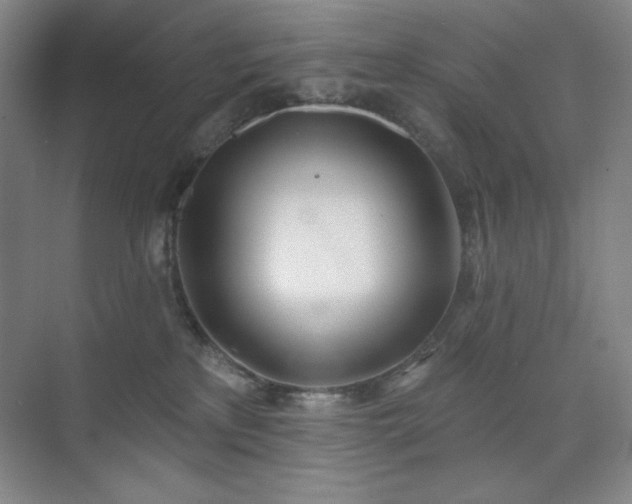 X0000073870233200608101518