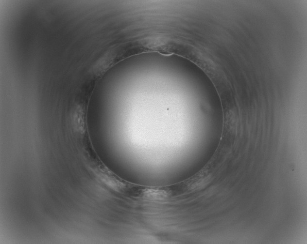 X0000073870234200608101518