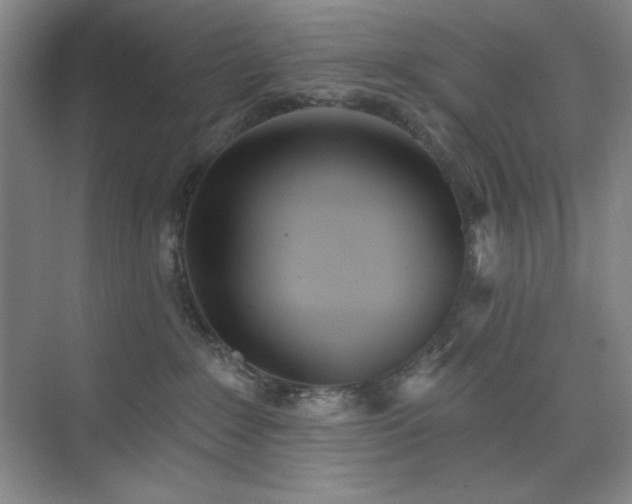 X0000073870235200608101518