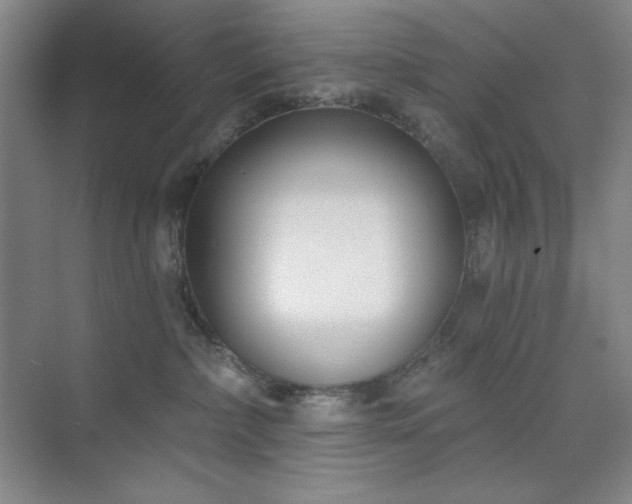 X0000073870236200608101518