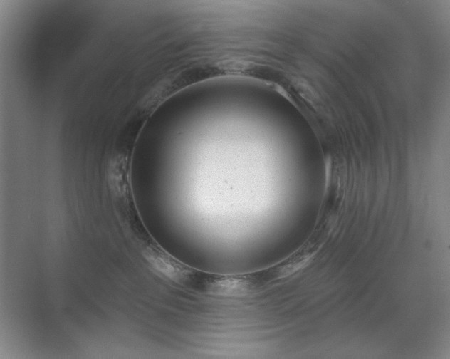 X0000073870237200608101518