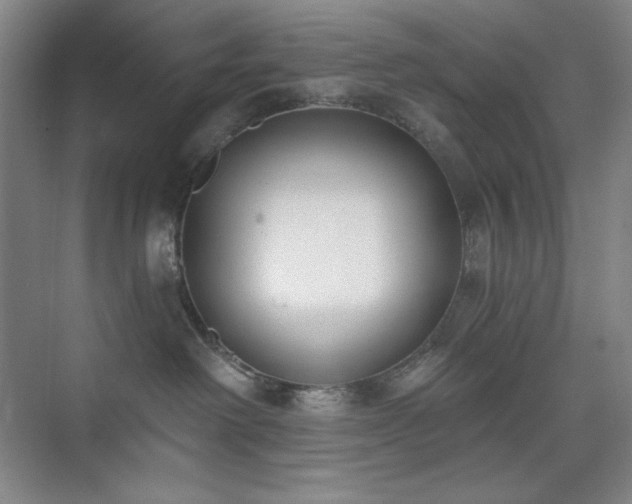 X0000073870238200608101518