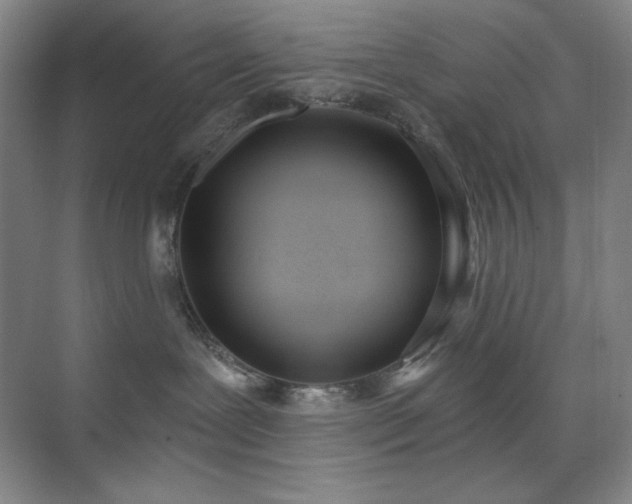 X0000073870239200608101518