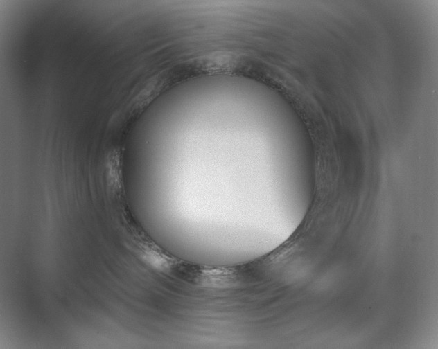 X0000073870240200608101518