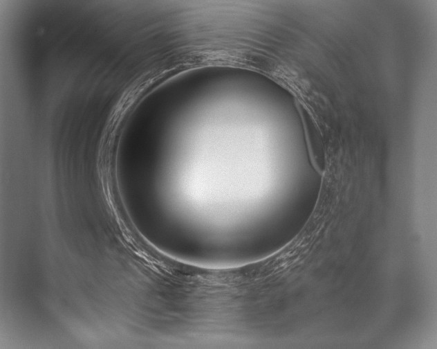 X0000073870241200608101517