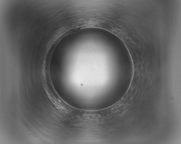 X0000073870242200608101517